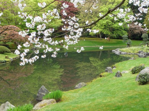 Nitobe Memorial Garden 