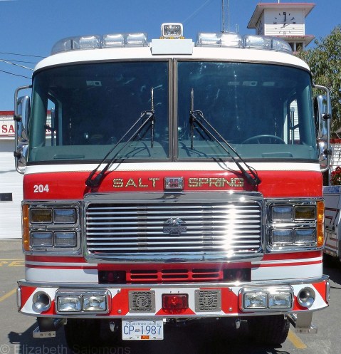 Salt Spring? Or is it Saltspring? Yes, it’s spelling inconsistencies like these that drive editors slowly mad.