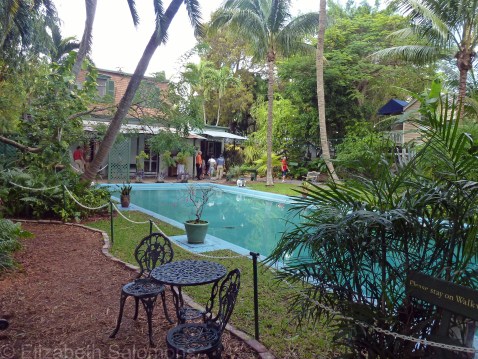 The studio overlooked the pool.