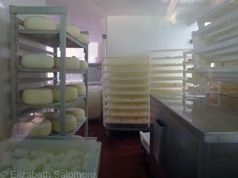 Cheeses and More Cheeses