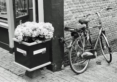 Dutch Bike
