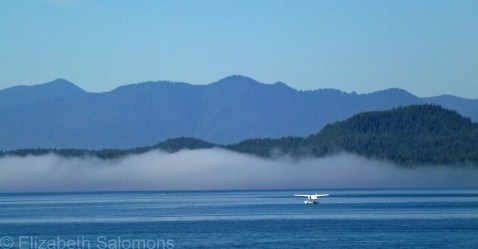 Float Plane and Fog Bank