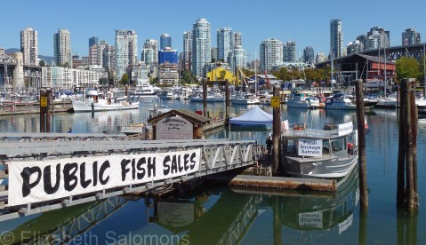 False Creek Fisherman's Wharf