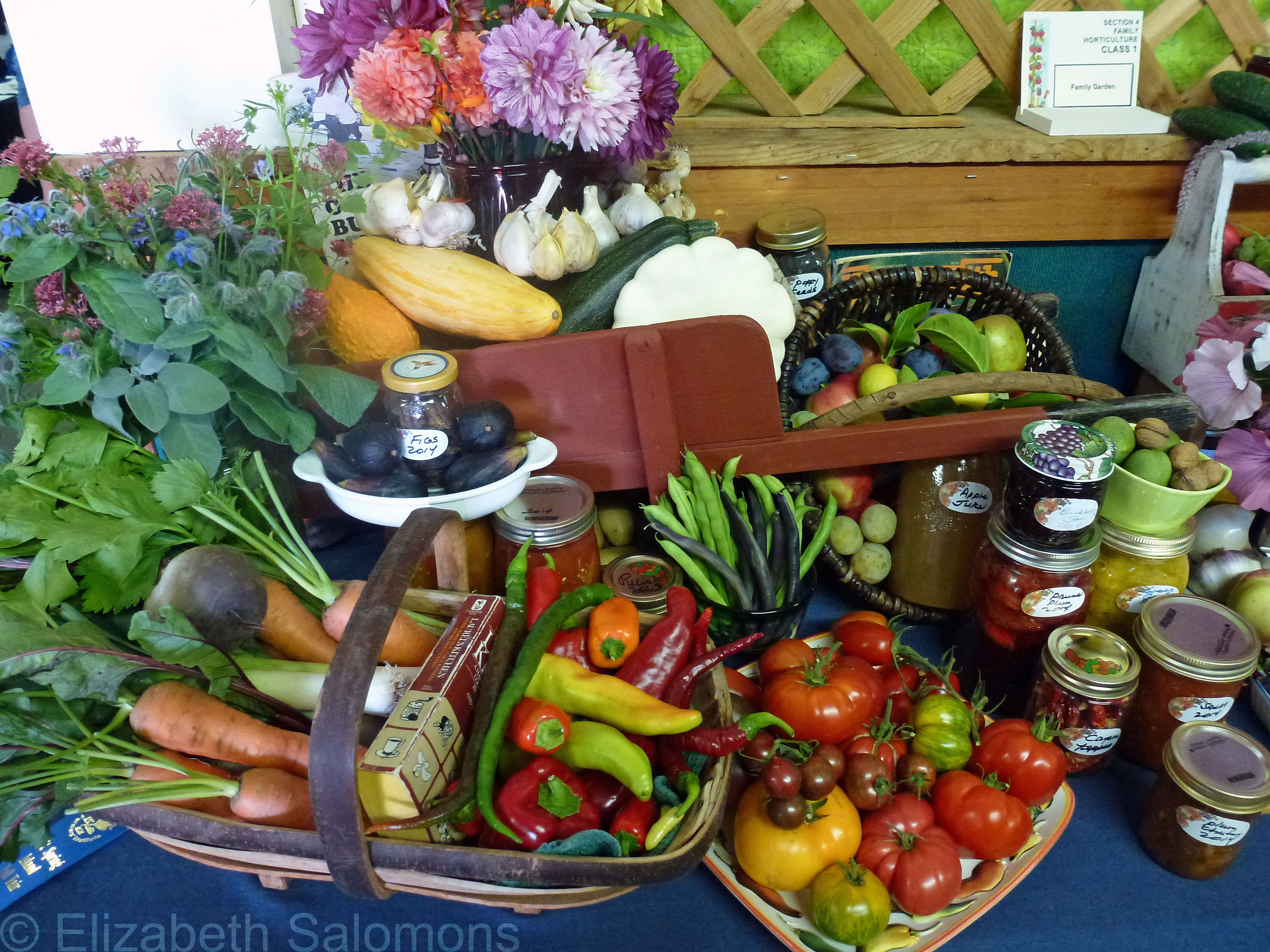 Salt Spring Island Fall Fair | There and Back Again