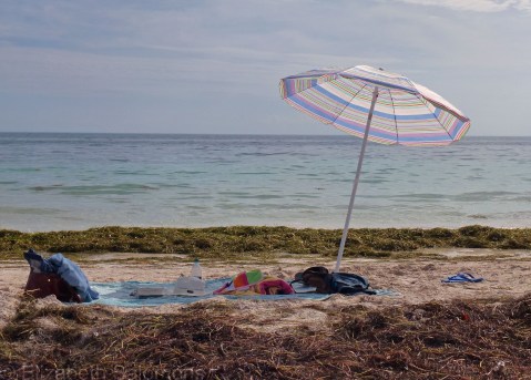 Bahia Honda State Park Beach