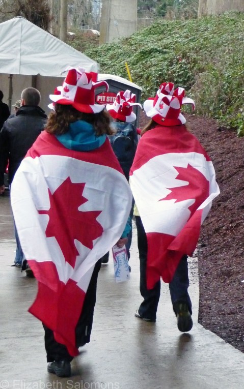 Maple Leaf Flag 3