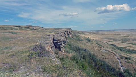Buffalo Jump Top