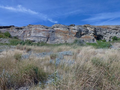 Buffalo Jump Bottom