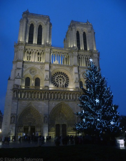 Cathédrale Notre-Dame de Paris