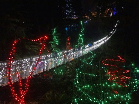 Capilano Suspension Bridge 2