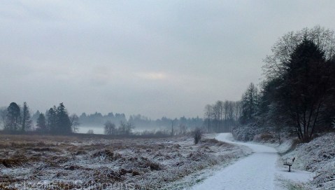 Deer Lake Park Winter 1