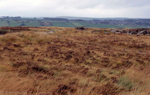 Haworth Moors and Fields