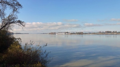 Fraser River at Deas Island Park