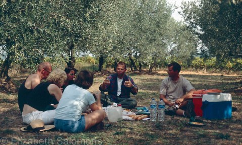 Lunch in an Olive Grove