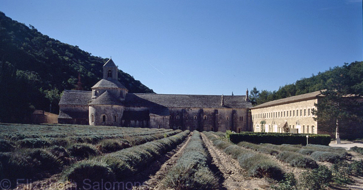 Abbaye Notre-Dame de Sénanque