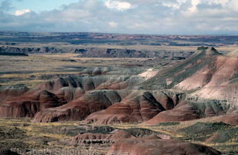 Painted Desert